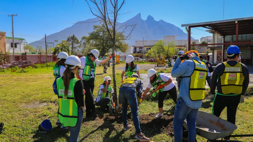 Regeneración urbana por parte de Distrotec