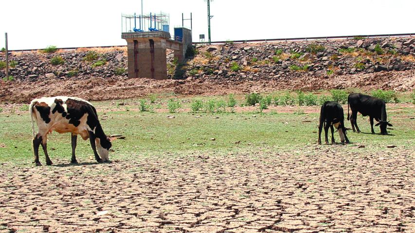 Los agricultores ya no tienen acceso a programas de coberturas de precios, que les permitían asegurar un precio mínimo.