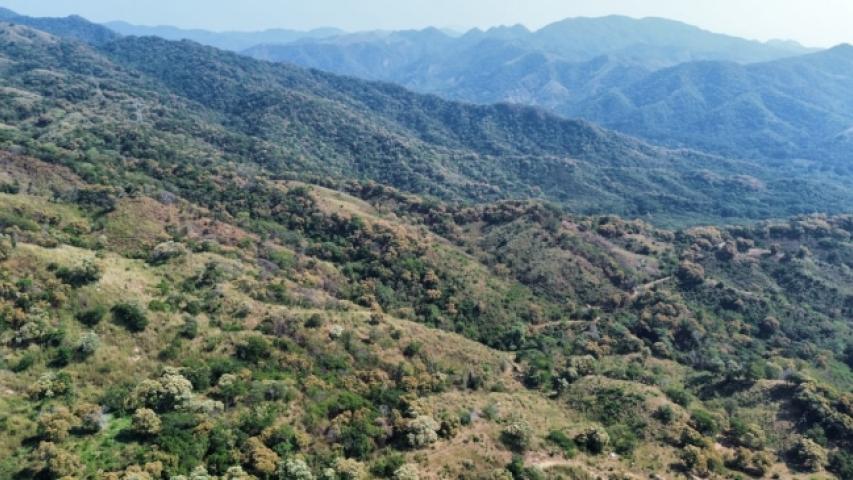 Foto: Gobierno de Colima