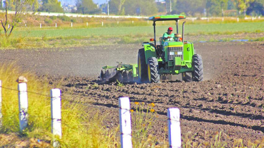 El sector agroindustrial también se enfrenta a problemas relacionados con las sequías y los extremos de temperatura. Foto: Especial