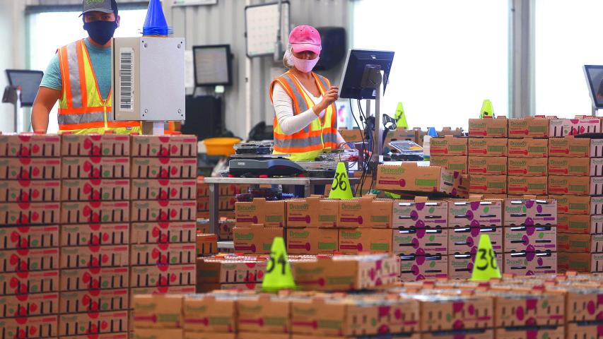 En Jalisco se encuentran en la búsqueda de nuevos esquemas de asociación entre las pymes.  REUTERS/Fernando Carranza