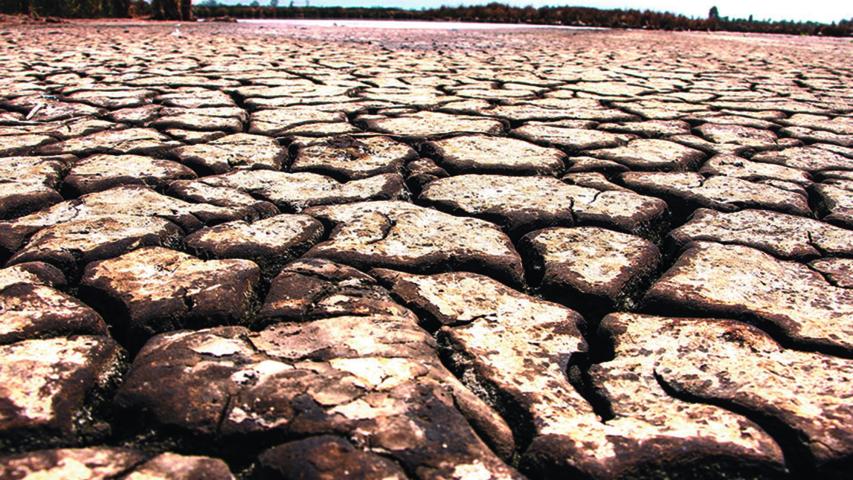 Las diversas inundaciones, así como las sequías, afectaron los precios principalmente en el rubro agropecuario. FOTO: ROGELIO MORALES  /CUARTOSCURO.COM