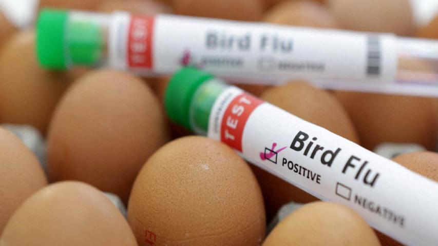 En julio, la Organización Mundial de la Salud (OMS) advirtió que su capacidad de gestión del riesgo que el virus H5N1 entraña para los humanos se estaba viendo comprometida por la vigilancia irregular.
Para más información del tema, visita: https://www.eleconomista.com.mx/internacionales/detectado-caso-gripe-aviar-humano-reino-unido-20250127-743773.html
¡Síguenos en nuestras redes sociales para mantenerte informado!
Twitter: https://twitter.com/eleconomista
Facebook: https://www.facebook.com/ElEconomista.mx
Instagram: https://www.instagram.com/eleconomistamx
LinkedIn: https://www.linkedin.com/company/el-economista/
#ElEconomista #EETV