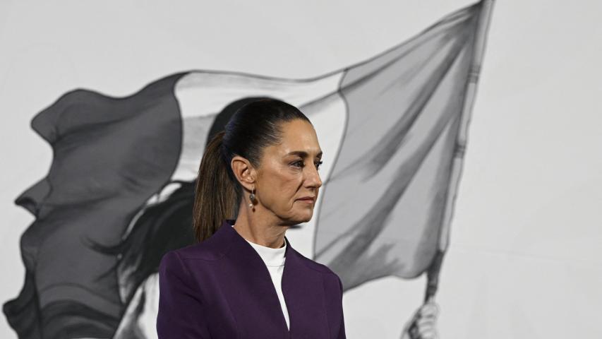 https://imagenes.eleconomista.com.mx/files/image_853_480/uploads/2025/03/04/67c7158f1e3c7.jpeg