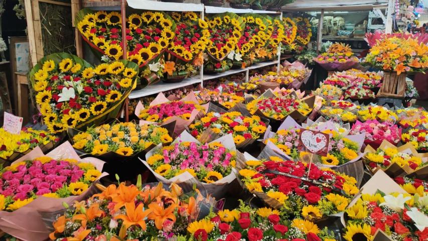Flores