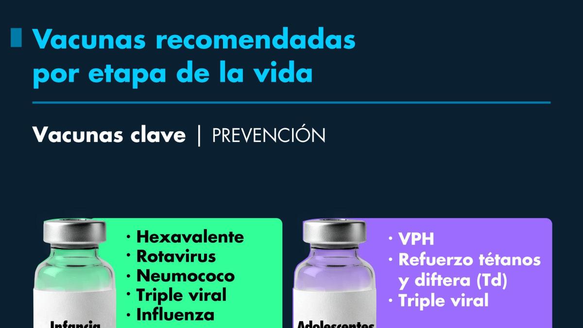 Vacunas recomendadas por etapa de la vida