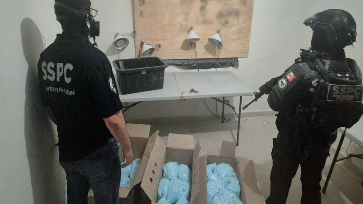 Harfuch anuncia decomiso de 270 kilos de fentanilo y captura de líder criminal en Colima