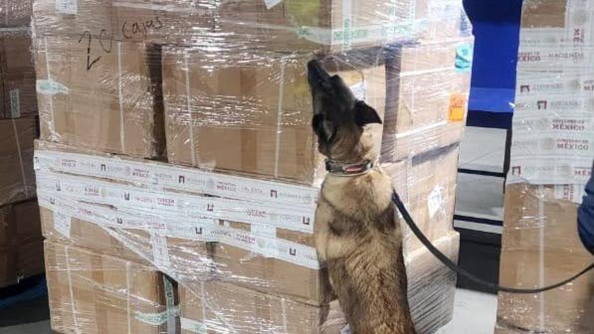 Autoridades aseguran más de 2 millones de cigarrillos presuntamente apócrifos en la Aduana del AICM