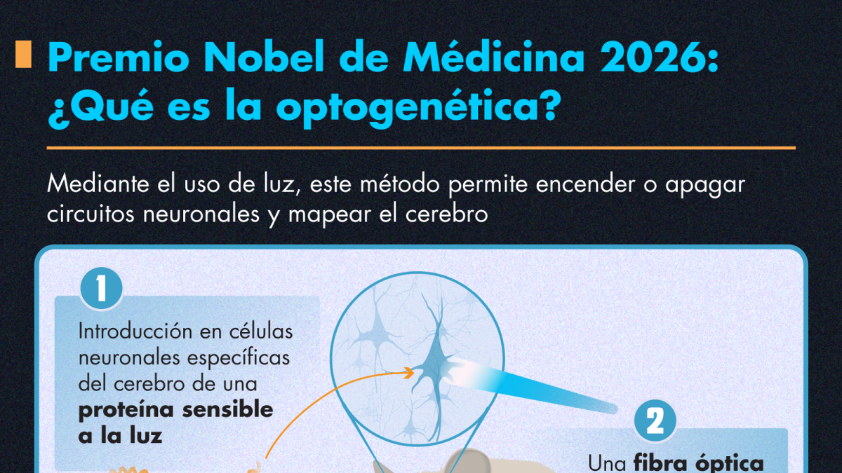 Premio Nobel de Medicina 2026: ¿Qué es la optogenética?