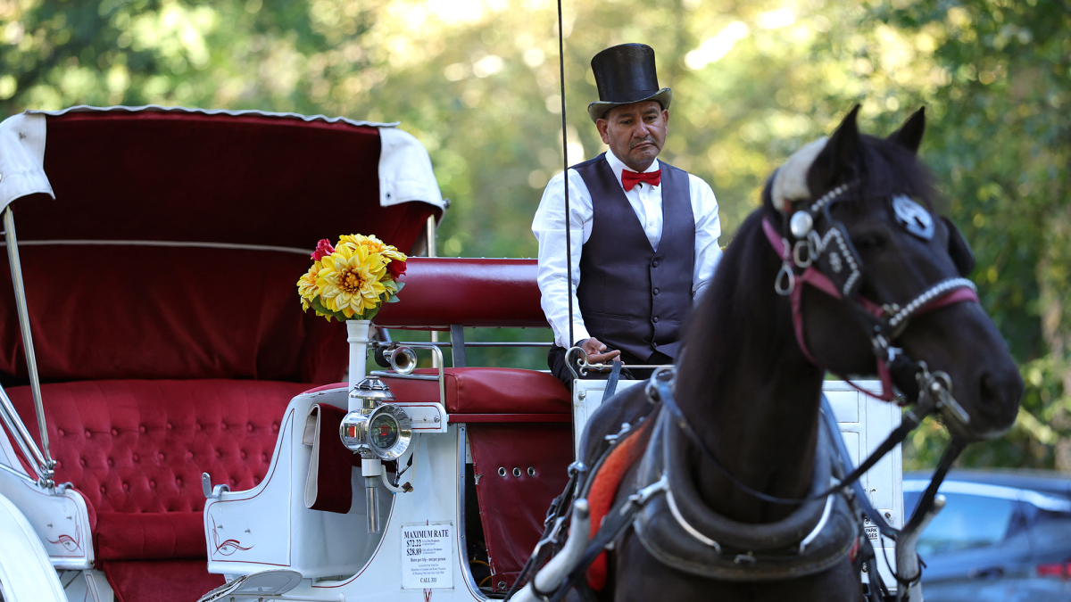Nueva York prohíbe los carruajes tirados por caballos en Central Park tras 20 años de debate
