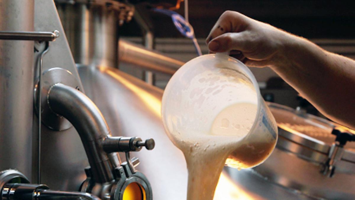 La cerveza artesanal busca ganar terreno en México y apunta al Mundial para un fuerte consumo
