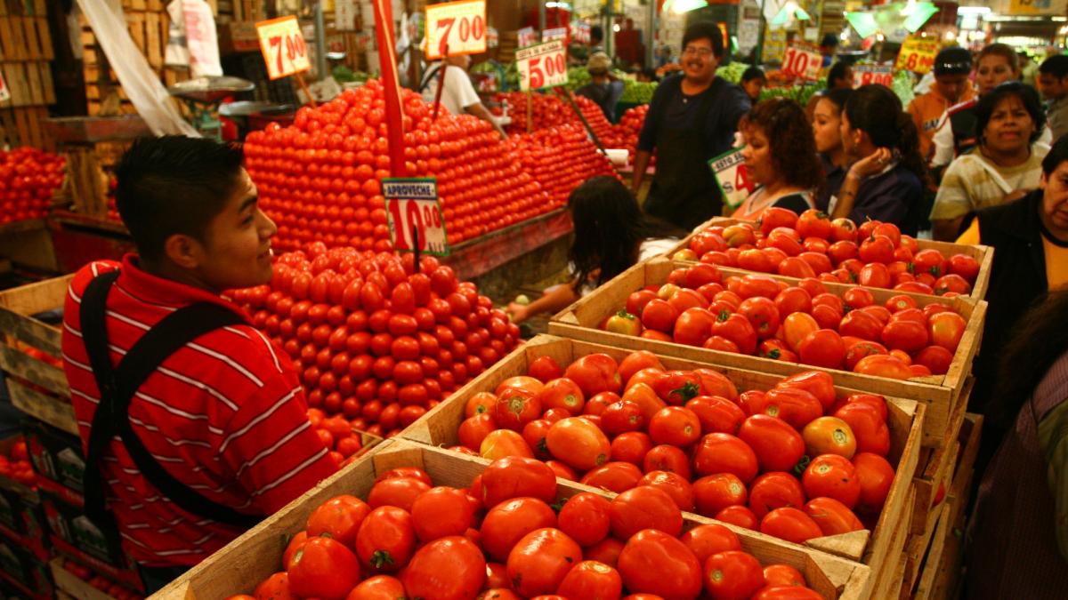 Puebla busca diversificar mercado externo del jitomate, ante aranceles de  Trump