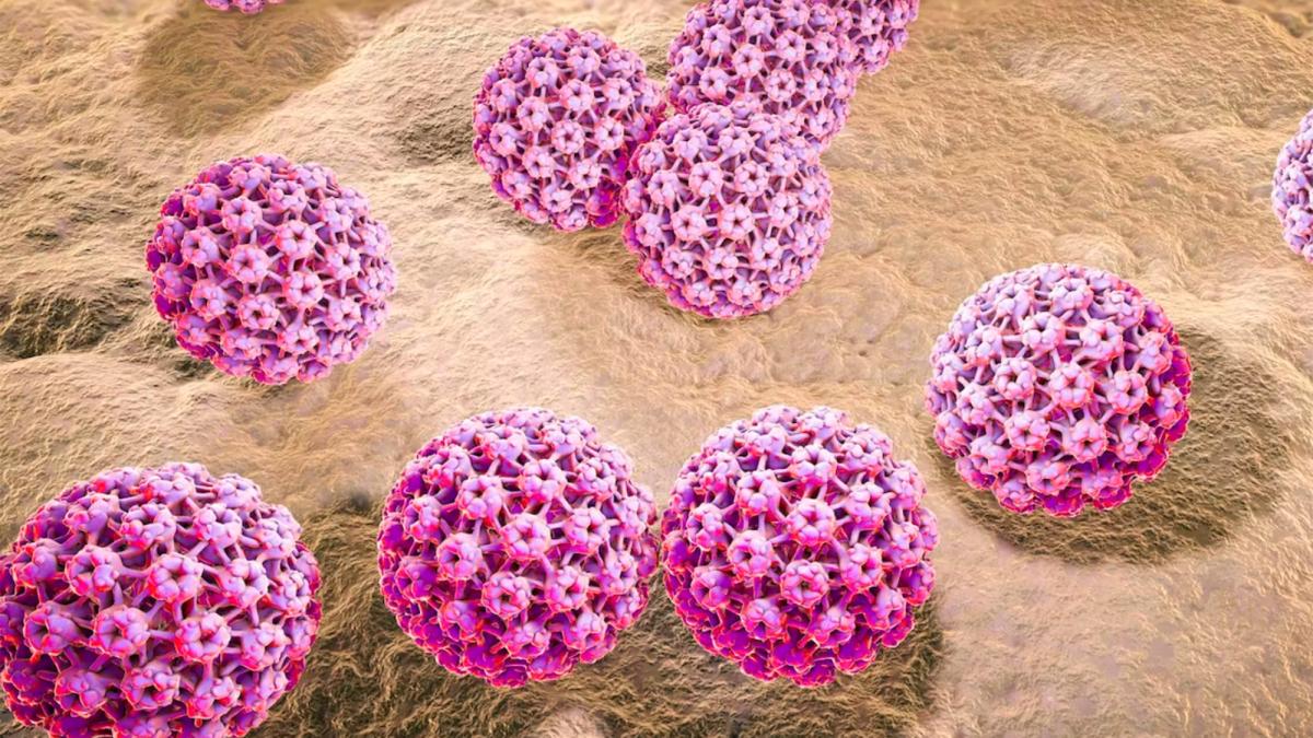 4 de marzo: Día Internacional de Concienciación sobre el Virus del Papiloma Humano