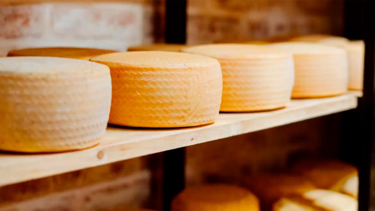 USDA: México logrará récord en importación de queso