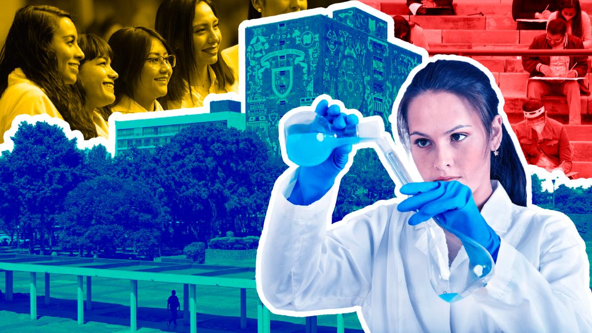 Día de la Mujer y la Niña en la Ciencia: referentes mexicanas y los retos pendientes