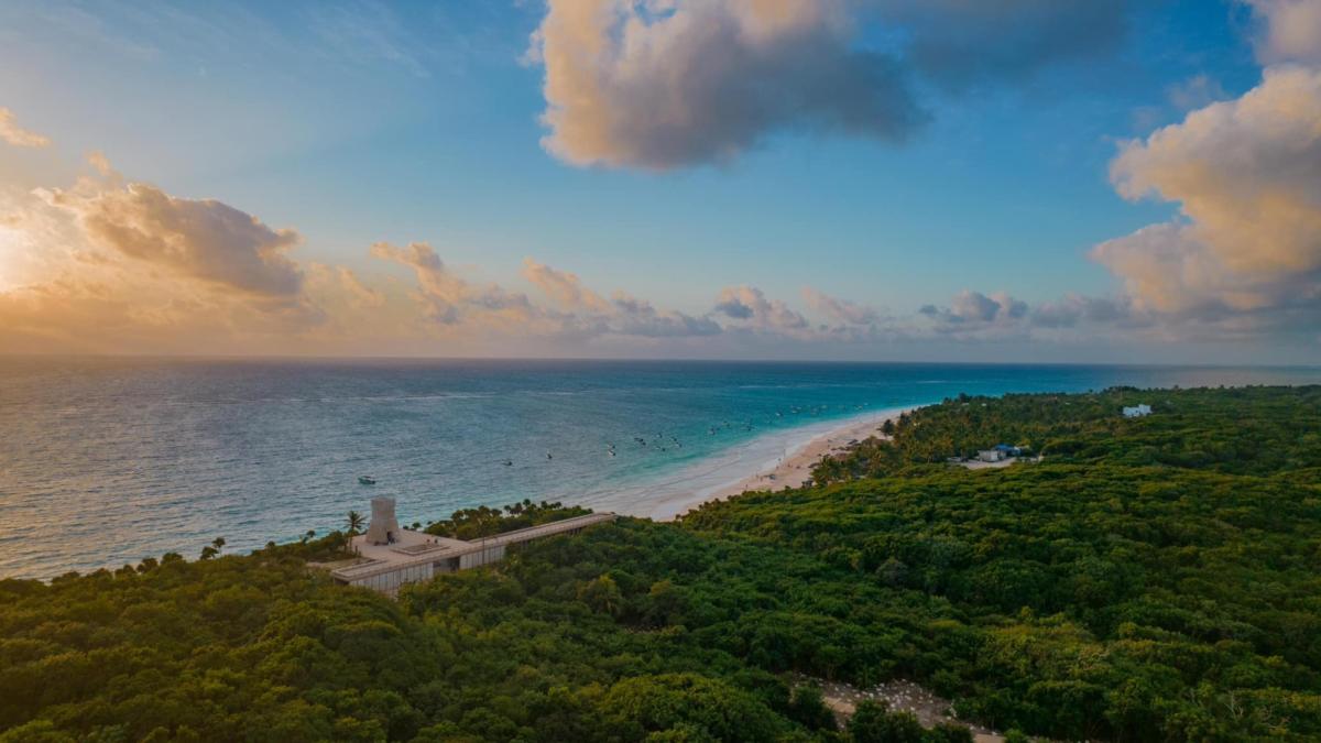 Más inteligencia y menos especulación”, los pasos a seguir para el sector inmobiliario de Tulum