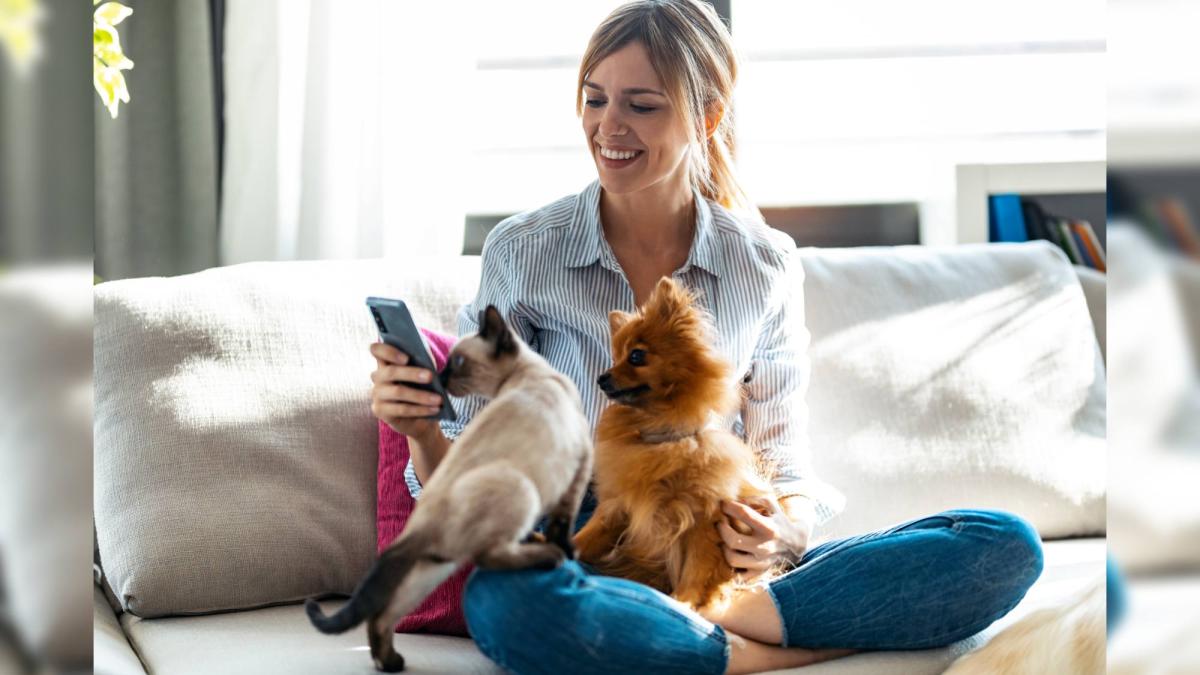 Familias mexicanas gastan cerca de 2,900 pesos al mes en alimento y cuidado de sus mascotas