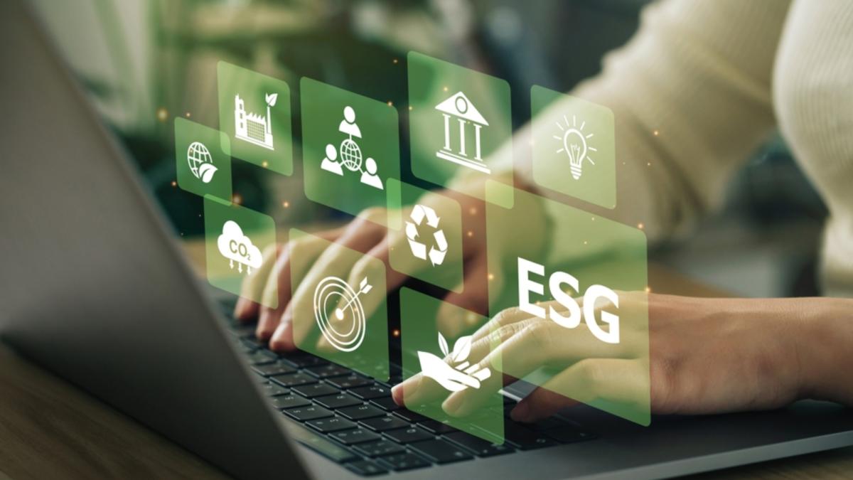 Challenges and opportunities to create more sustainable companies in 2025