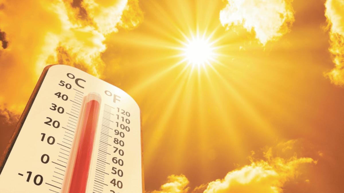 2024 was the warmest year in history, with a warming of 1.5º C