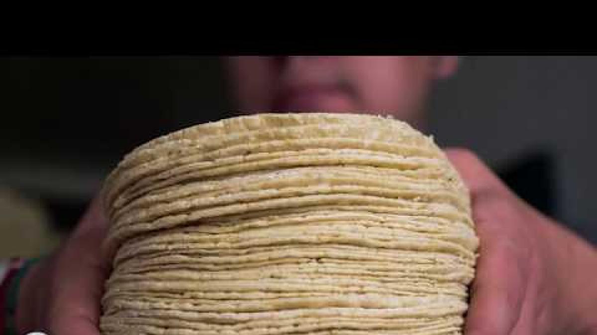 Polémica por venta de tortillas en hieleras: ¿Habrá multas por ofrecer este alimento en moto?