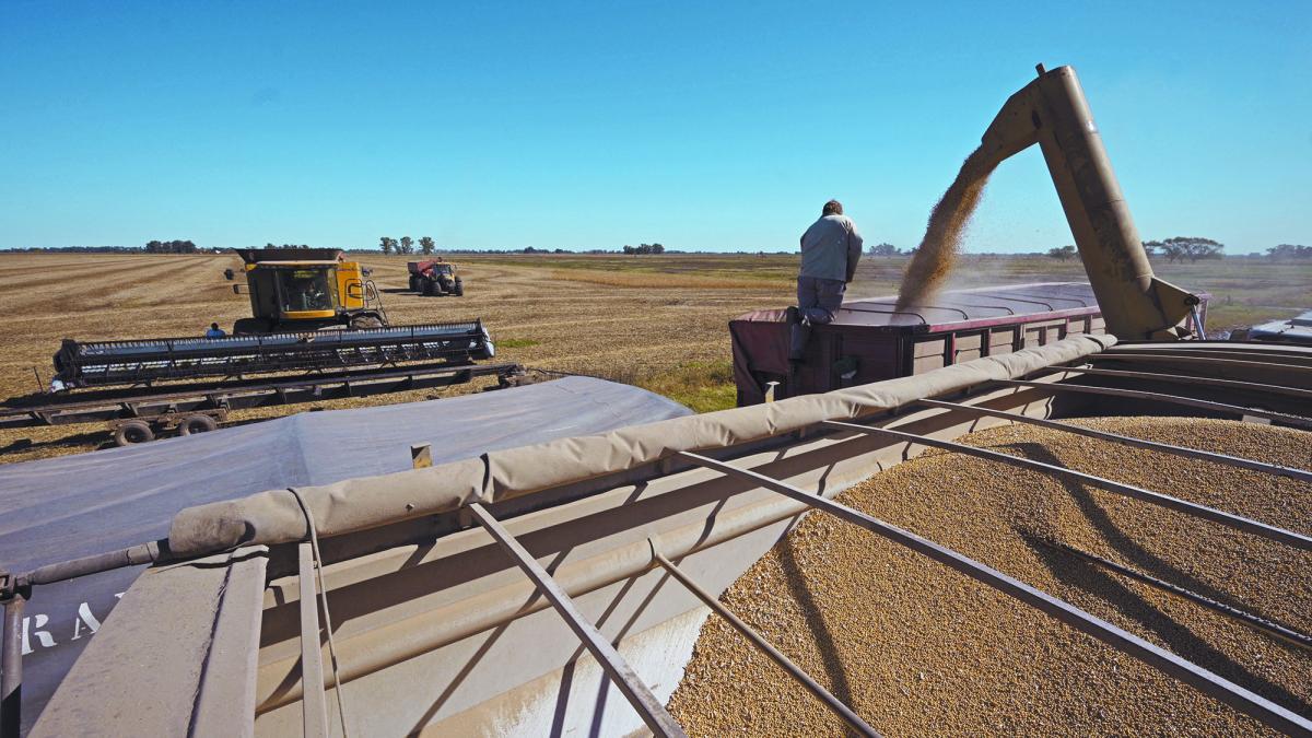 Soya repunta tras comentarios de Trump sobre compras de China