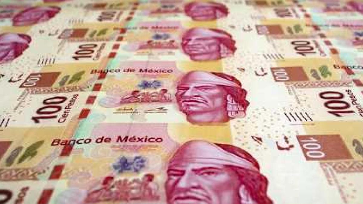 Aprende a detectar billetes falsos con este curso gratuito del Banco de México