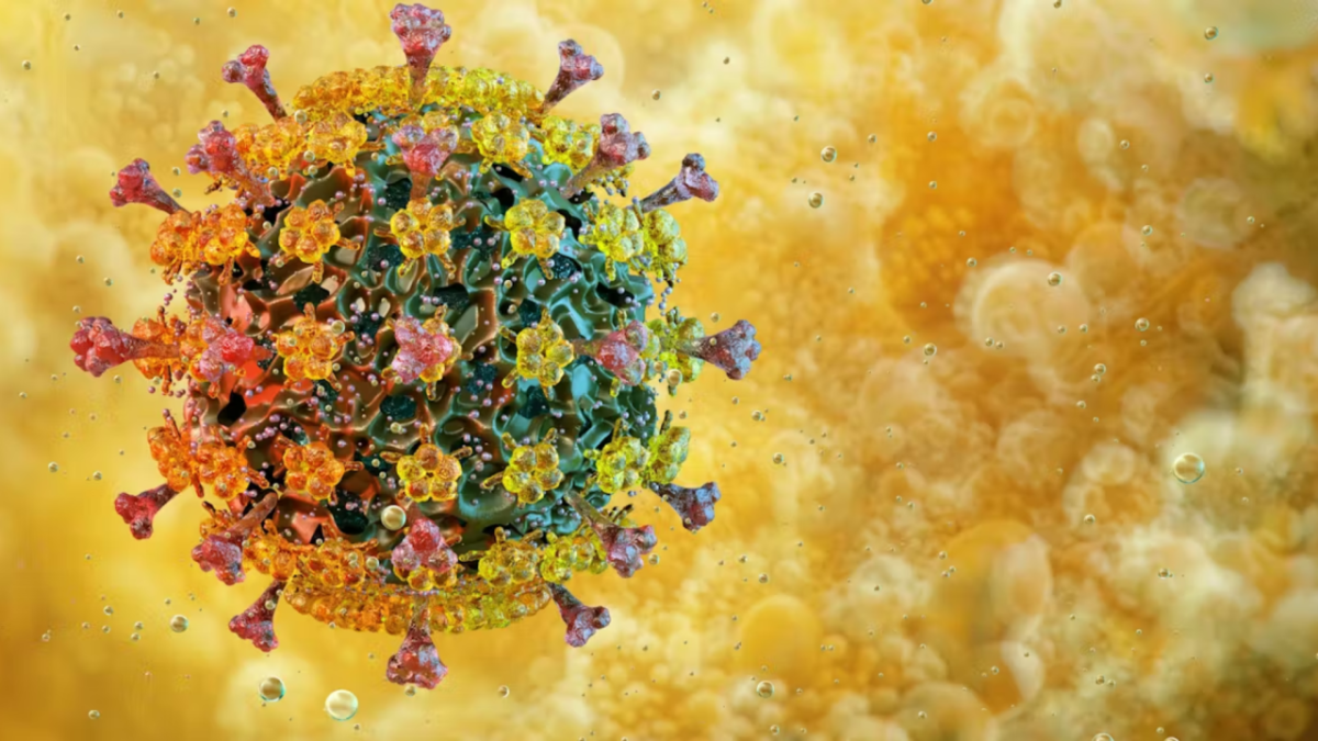 Qué se sabe de la ‘súper gripe’ H3N2 subclado K en México: síntomas y recomendaciones