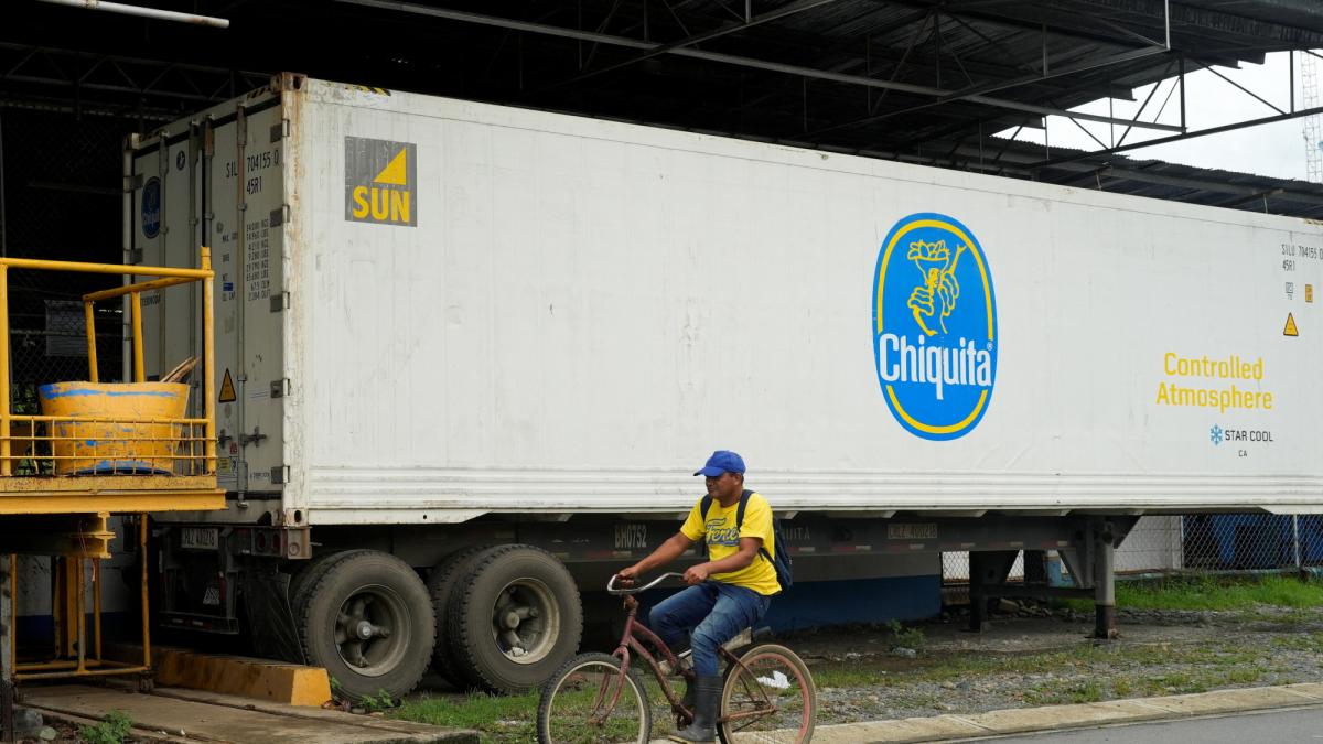 https://imagenes.eleconomista.com.mx/files/og_thumbnail/uploads/2025/06/02/683e31223f8ed.jpeg