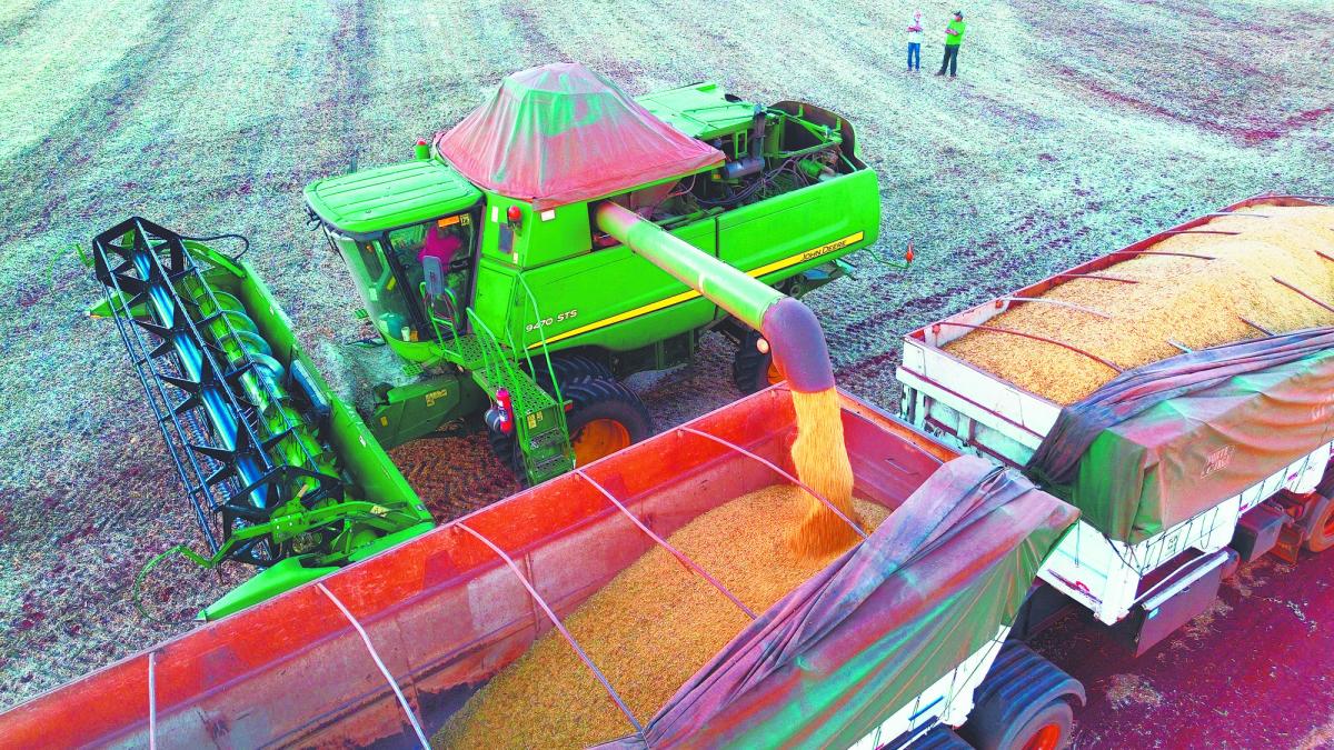 Soya cae en Chicago, pero anota su primera alza anual en tres años