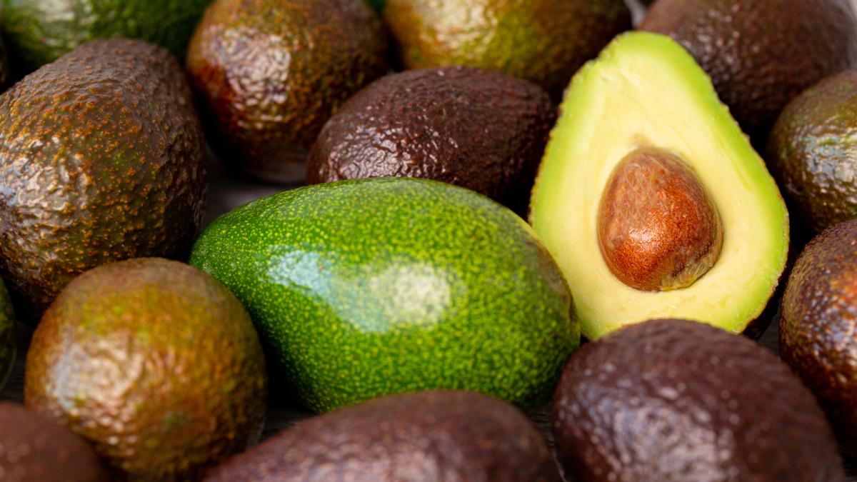 Aguacate y berries estrenan certificación laboral como eje de la agroexportación mexicana