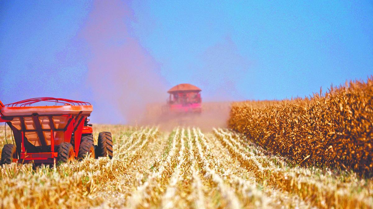 Soya en máximo por demanda en China