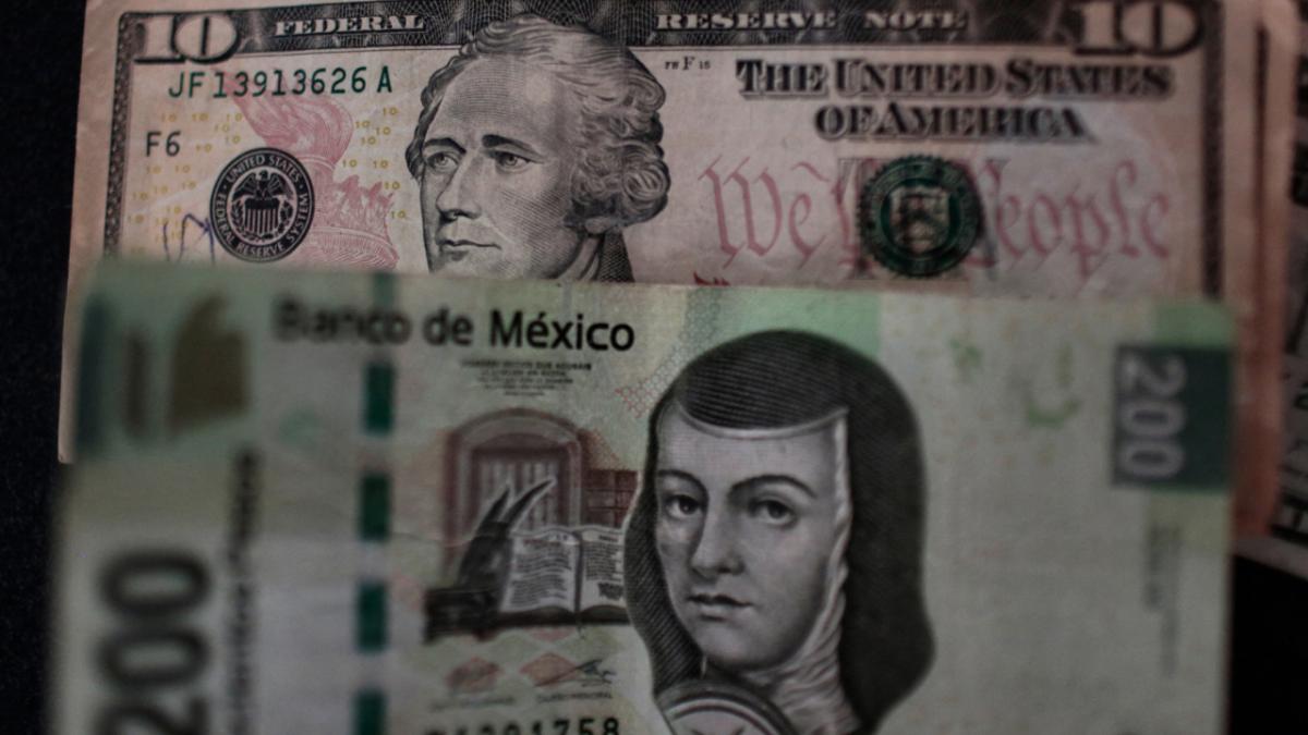 Precios al productor se desaceleran en Estados Unidos
