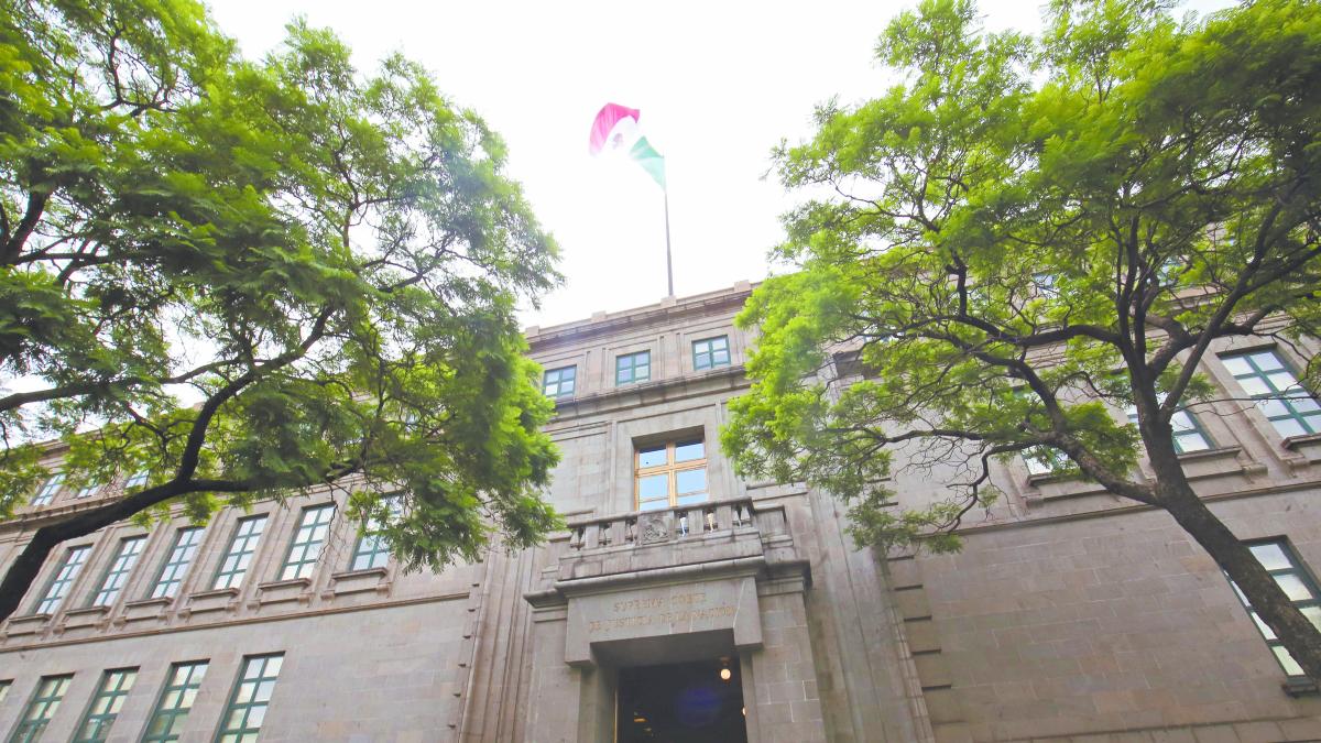 Reconocen fallo pro libre manifestación