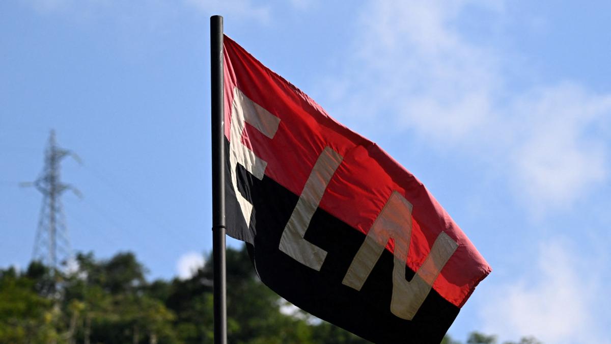 Guerrilla del ELN anuncia tregua en Colombia por Navidad