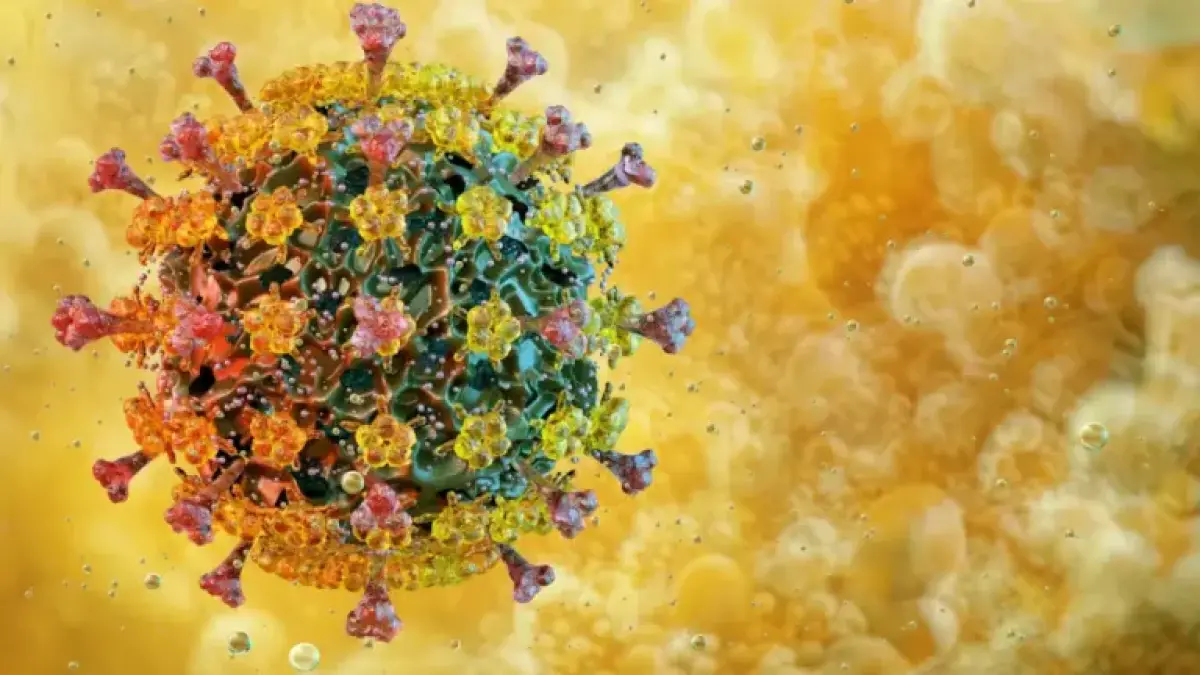 Qué se sabe de la ‘súper gripe’ H3N2 subclado K en México: síntomas y recomendaciones