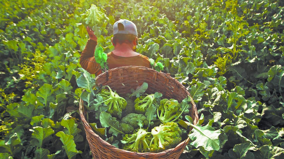 Presas en frontera norte, con niveles contrastantes