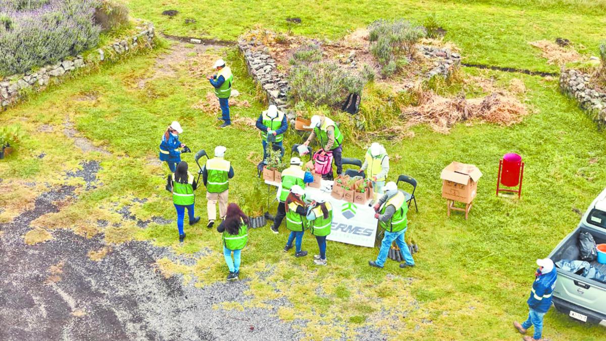 Construcción sostenible: transformar el futuro sin dejar huella