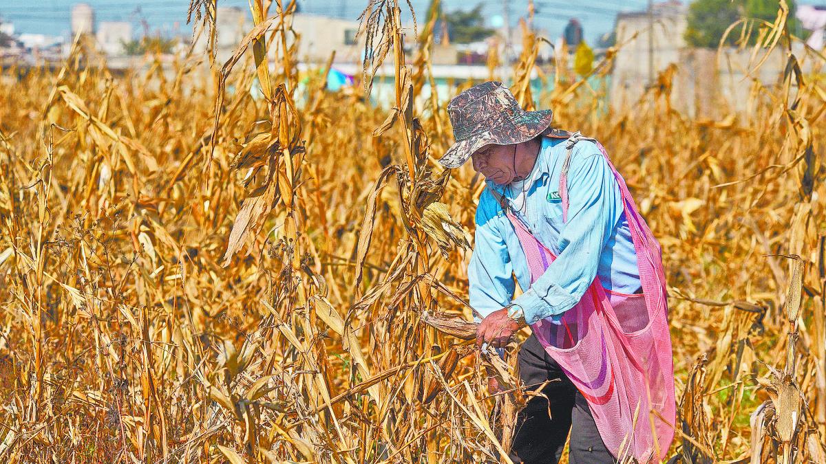 Entrega de agua a EU enciende alertas entre campesinos