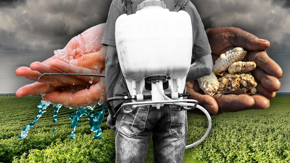 Agricultura mexicana: el desafío de disminuir el impacto ambiental y la vulnerabilidad ante el cambio climático