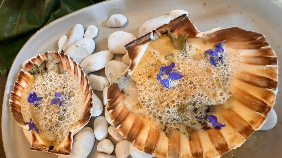 ¿Dónde comer? El Festival de Conchas redefine la frescura marina en CDMX