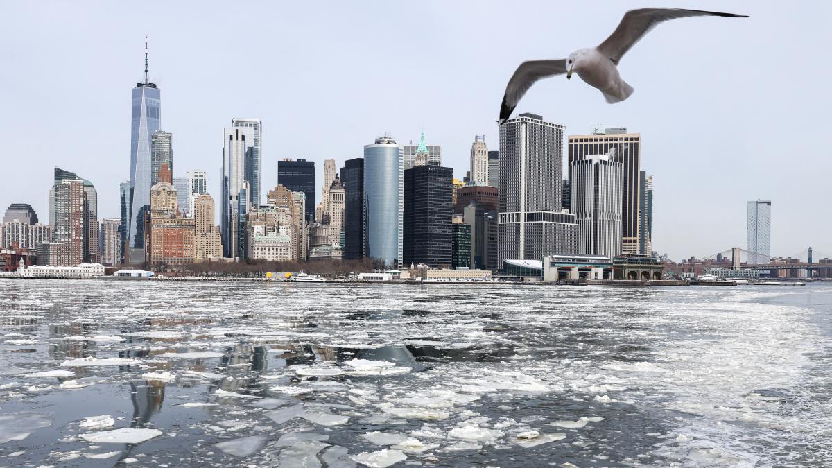 Nueva tormenta invernal golpea a los estados del sureste de EU; frente frío ha dejado 100 muertos