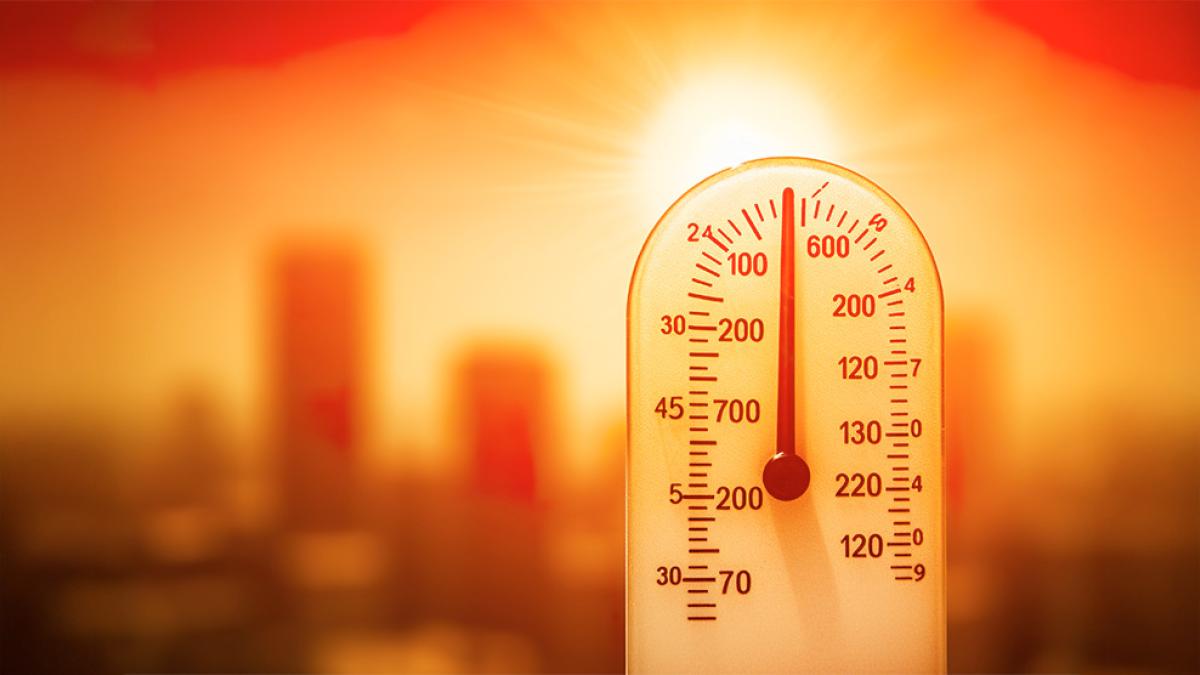 Población bajo calor extremo se duplicará en 2050, advierte estudio de Oxford