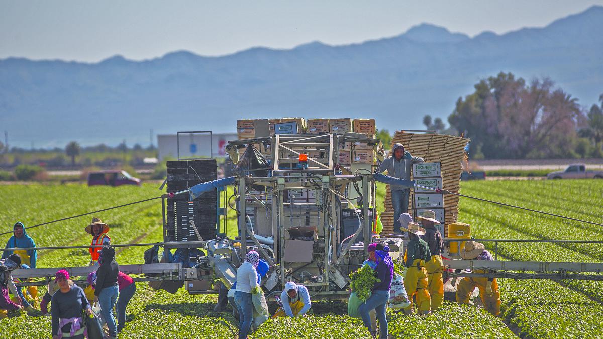 Descartan aceleración en envíos de remesas en el corto plazo