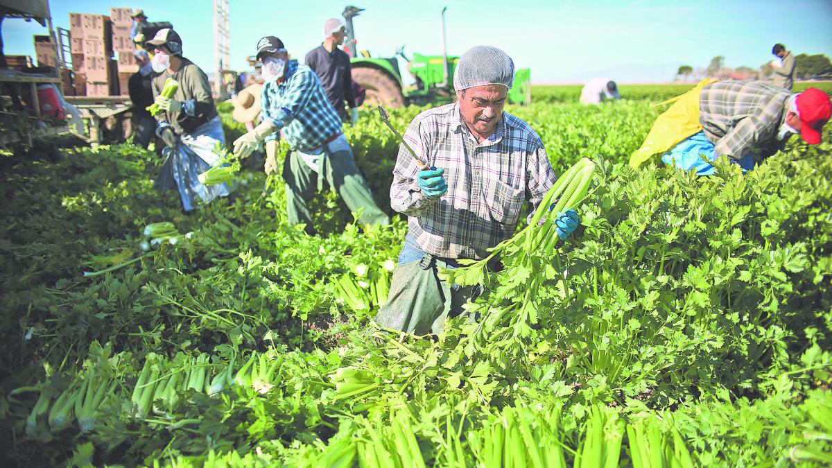 Migración, competencia y nuevos impuestos marcarán el rumbo de remesas este año