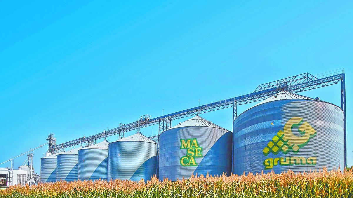 Gruma cae 7.19% en BMV, su peor baja desde octubre de 2024