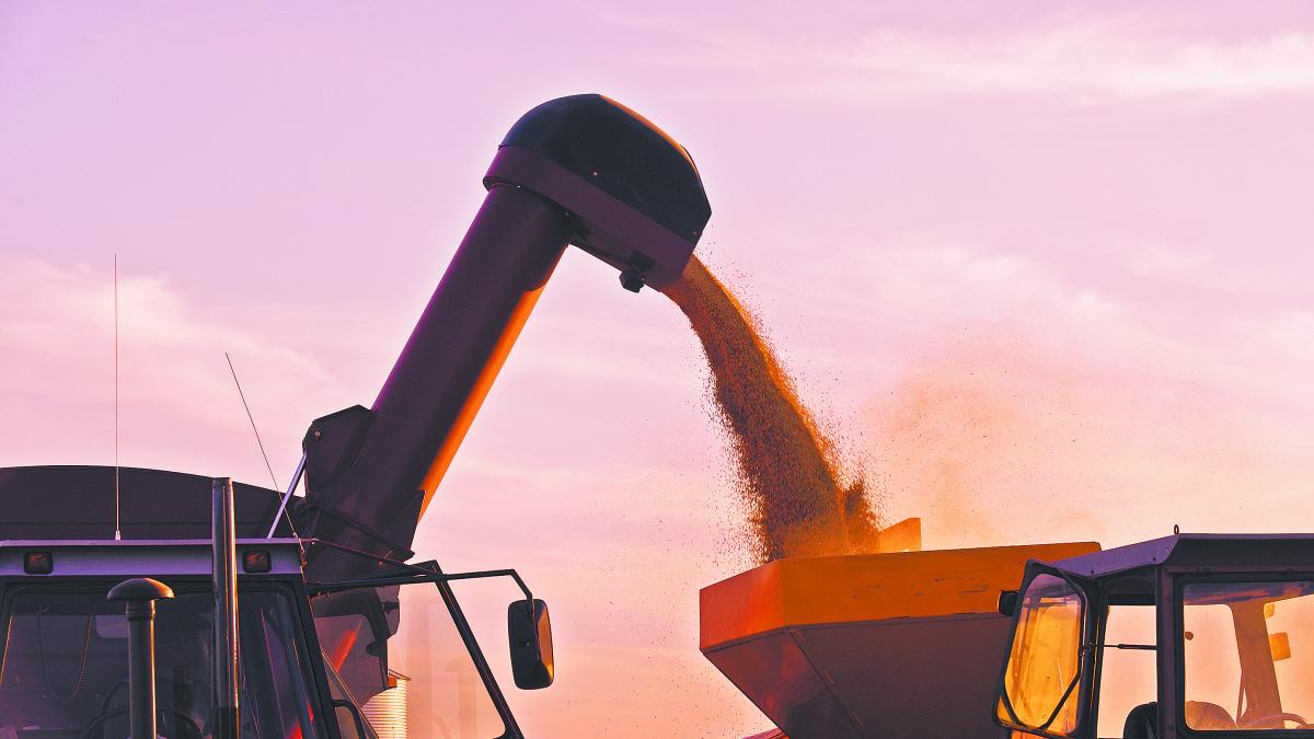 Sector primario impulsó la economía argentina en 2025