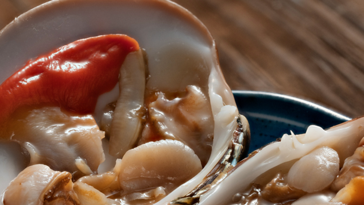 La almeja chocolata perdió 40% de su extracción en una década y enciende el debate sobre su futuro