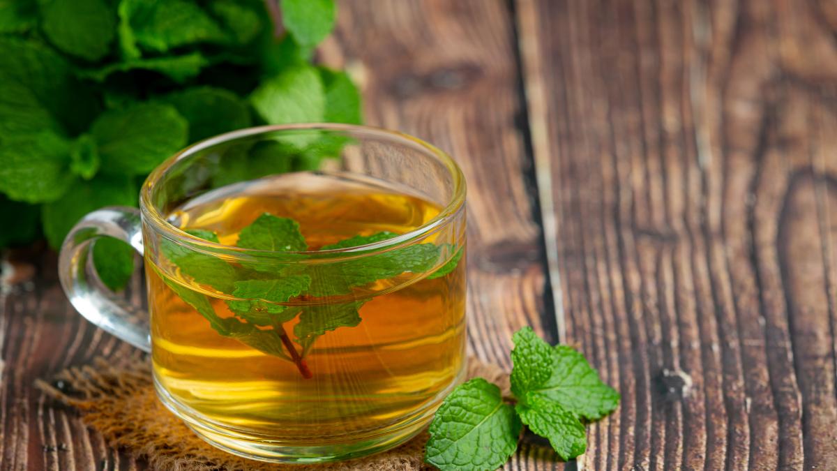 Toronjil o melisa: la planta que ayuda a calmar los nervios y dormir mejor (receta)