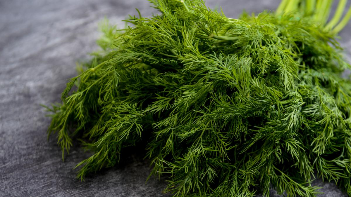 Hinojo para el vientre inflamado ¿Cómo ayuda a aliviar la pesadez?