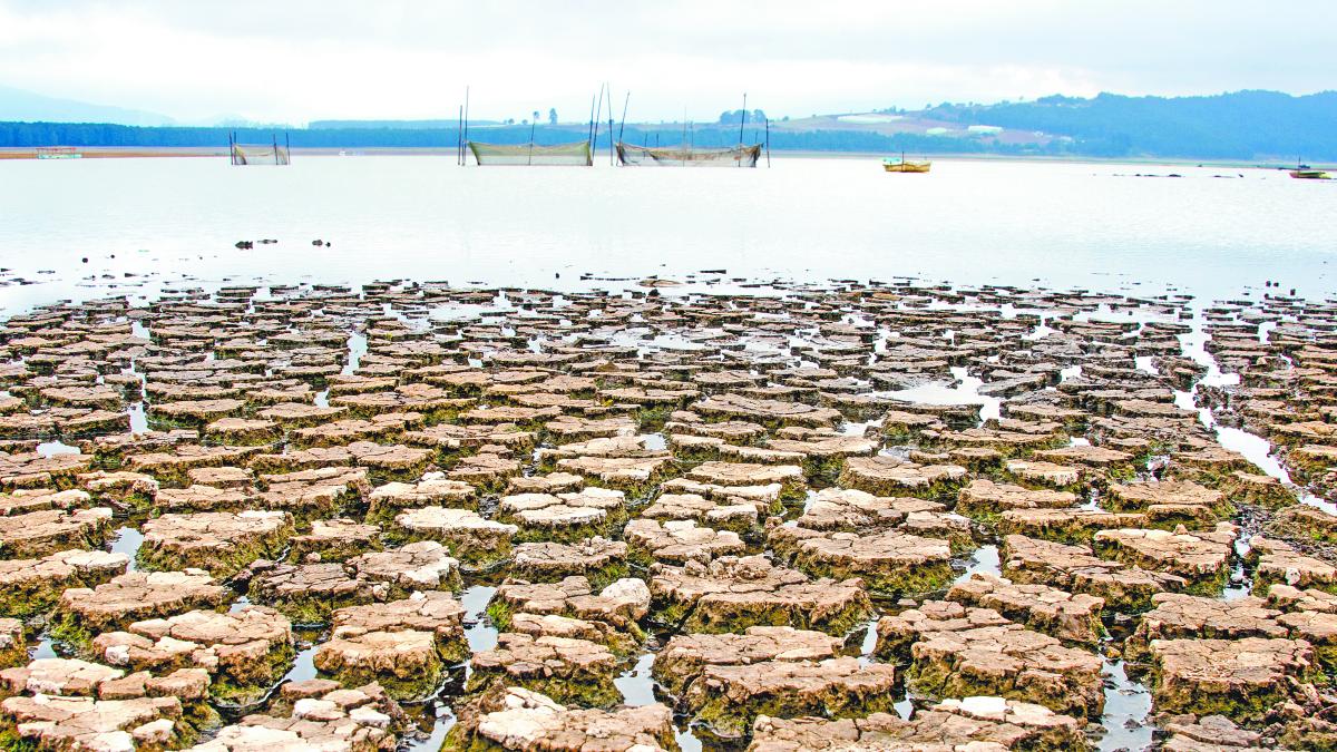 Febrero de 2026, el más cálido desde 1953: Conagua